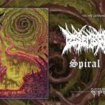 DISEMBODIMENT (Brutal Death Metal) publicó su segundo single del álbum debut